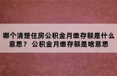 哪个清楚住房公积金月缴存额是什么意思？ 公积金月缴存额是啥意思